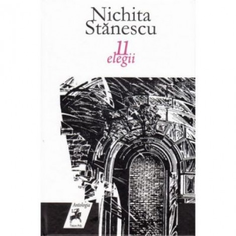 11 elegii - Nichita Stanescu