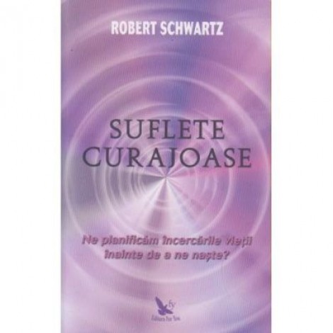 Suflete curajoase. Ne planificam incercarile vietii, inainte de a ne naste? - Robert Schwartz