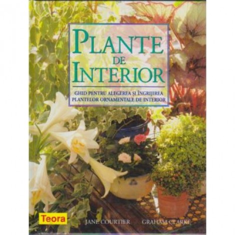 Plante de interior (6076)