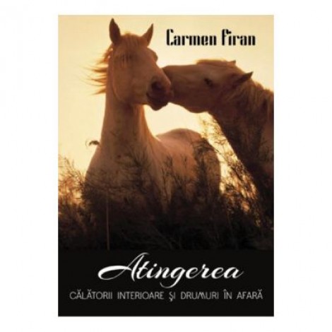 Atingerea - Carmen Firan