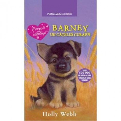 Barney, un catelus curajos - Holly Webb