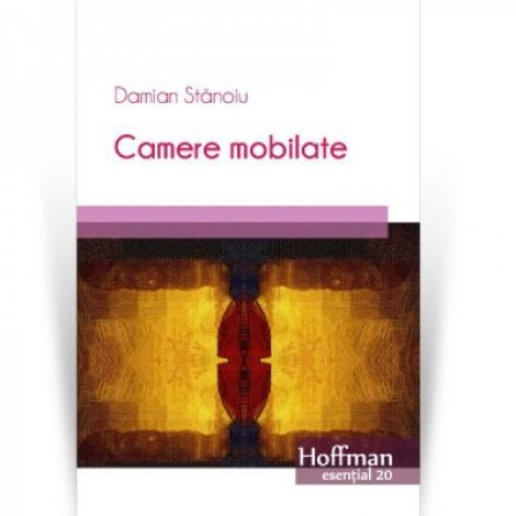 Camere mobilate - Damian Stanoiu