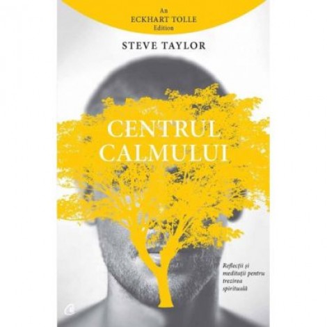 Centrul calmului. Reflectii si meditatii pentru trezirea spirituala - Steve Taylor