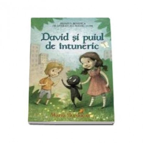 David si puiul de intuneric - Maria Surducan