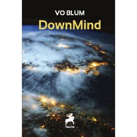 DownMind - Vo Blum