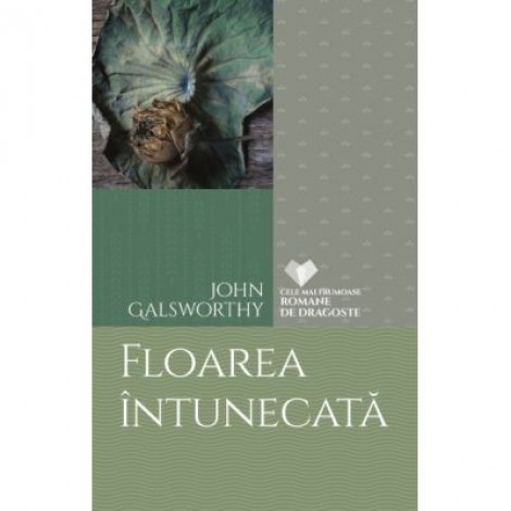 Floarea intunecata - John Galsworthy