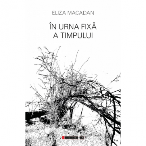 In urna fixa a timpului - Eliza Macadan