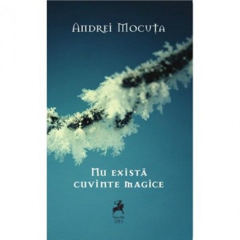 Nu exista cuvinte magice - Andrei Mocuta