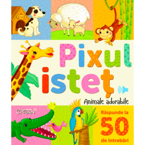 Pixul istet