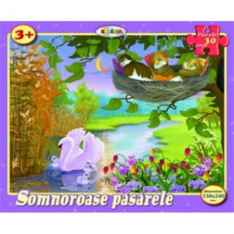 Puzzle Somnoroase pasarele