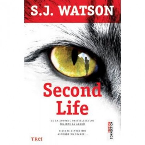 Second Life - S. J. Watson. De la autorul bestsellerului Inainte Sa Adorm