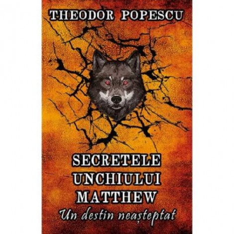 Secretele unchiului Matthew. Un destin neasteptat - Theodor Popescu