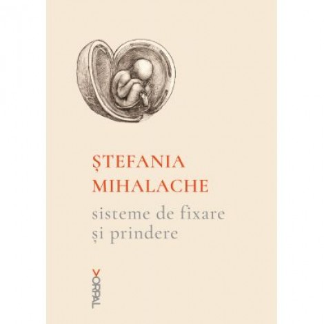 Sisteme de fixare si prindere - Stefania Mihalache