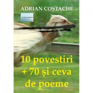 10 povestiri + 70 si ceva de poeme - Adrian Costache