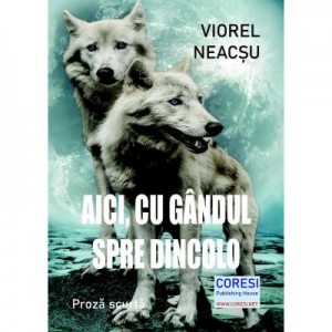 Aici, cu gandul spre dincolo - Viorel Neacsu