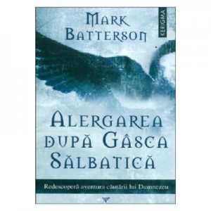 Alergarea dupa gasca salbatica - Mark Batterson