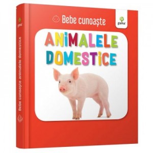 Animalele domestice. Bebe Cunoaste