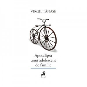 Apocalipsa unui adolescent de familie - Virgil Tanase
