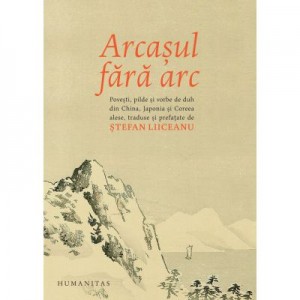 Arcasul fara arc - Stefan Liiceanu