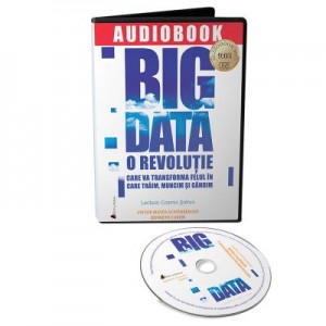 Audiobook. Big Data - Viktor Mayer-Schonberger