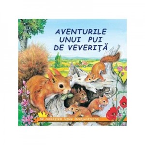 Aventurile unui pui de veverita - Sa cunoastem lumea inconjuratoare!