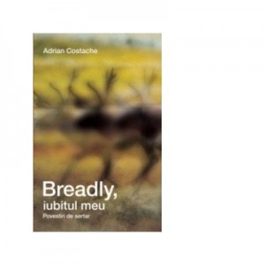 Breadly, iubitul meu. Povestiri de sertar - Adrian Costache