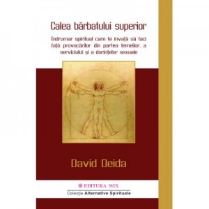 Calea barbatului superior - David Deida. Traducere de Georgiana Filip