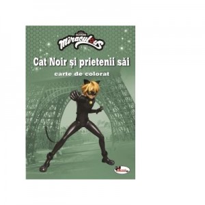 Cat Noir si prietenii sai. Carte de colorat