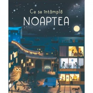 Ce se intampla noaptea? (Usborne) - Usborne Books