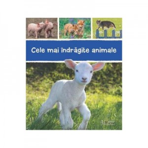 Cele mai indragite animale