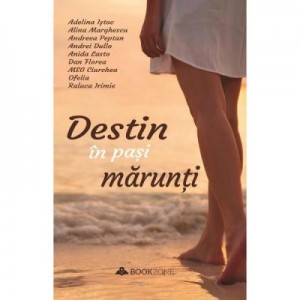 Destin in pasi marunti - Anida Lasto