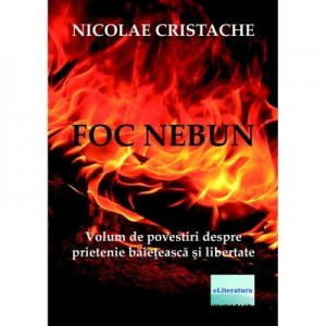 Foc nebun - Nicolae Cristache