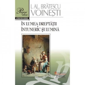 In lumea dreptatii. Intuneric si lumina - Ioan Alexandru Bratescu-Voinesti