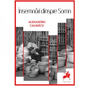 Insemnari dinspre somn - Alexandru Calmacu