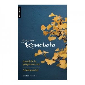 Jurnal de la saisprezece ani. Adolescentul - Yasunari Kawabata