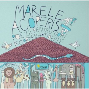 Marele acoperis - Carmen Tiderle