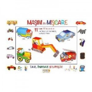 Masini in Miscare - Irene Mazza