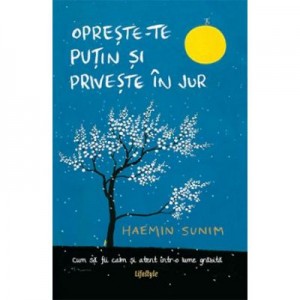 Opreste-te putin si priveste in jur - Haemin Sunim