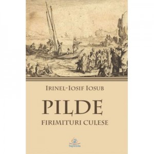 Pilde. Firimituri culese - Irinel-Iosif Iosub