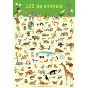 Plansa. 100 de animale - Nelson Verlag