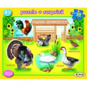 Puzzle Pasari domestice