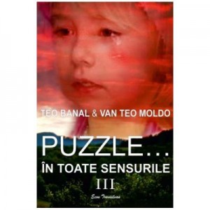 Puzzle... in toate sensurile Vol. 3 - Teo Banal, Van Teo Moldo