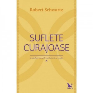 Suflete curajoase. Ne planificam incercarile vietii, inainte de a ne naste? - Robert Schwartz