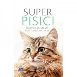 Super pisici - Ashley Morgan