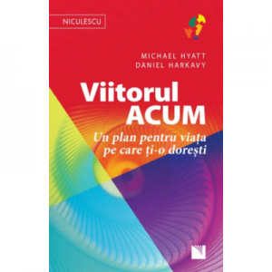 Viitorul ACUM. Un plan pentru viata pe care ti-o doresti - Michael Hyatt